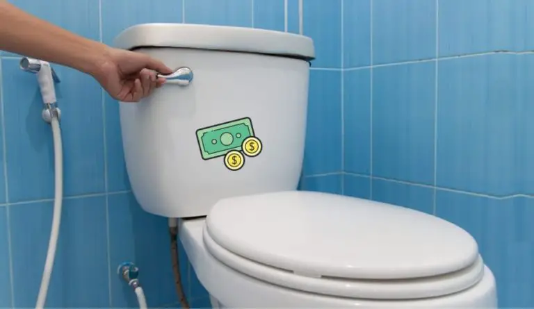 How Much Does It Cost To Flush A Toilet? Plumber Explain