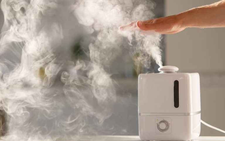 Do Humidifiers Cause Mold And Excessive Moisture?