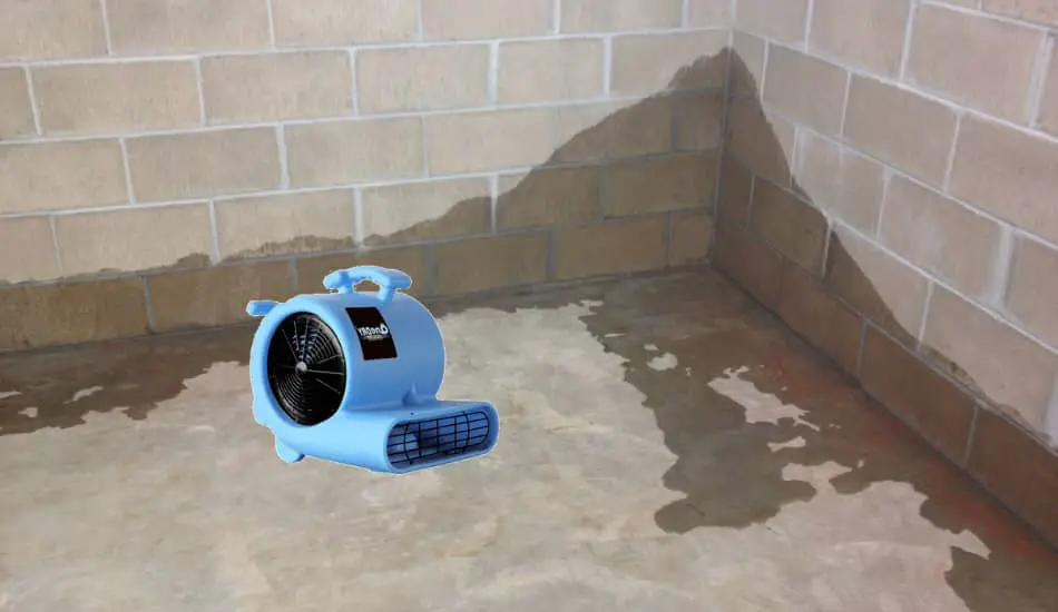 How To Dry Out A Basement Fast Expert, How To Quickly Dry A Wet Basement