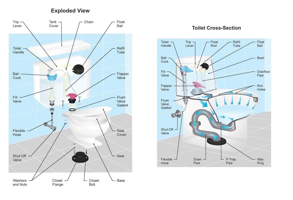 Toilet Components Explained Plumbing Diagrams & Functions