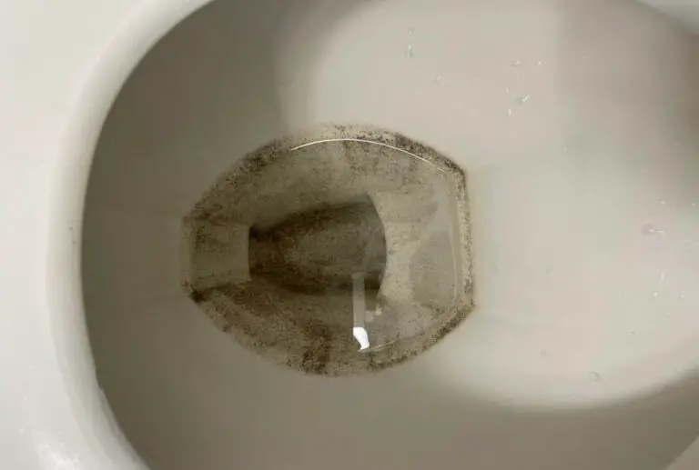 What Are Black Spots In The Toilet Bowl?