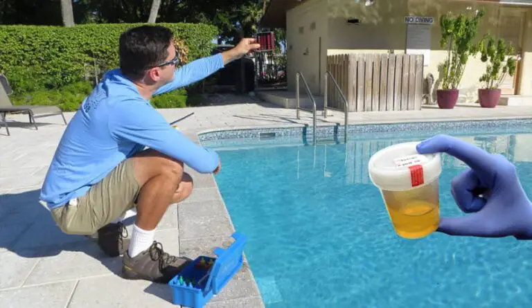 How Much Pee Is In Your Swimming Pool?