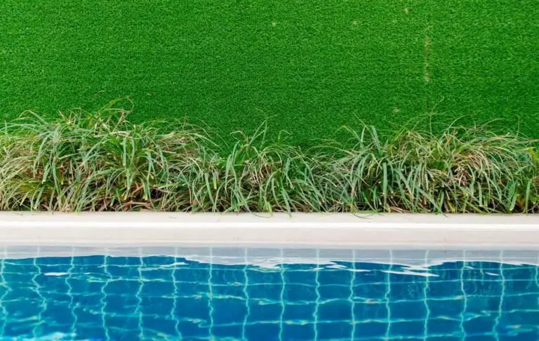 Will Pool Water Kill Grass? Expert Explains