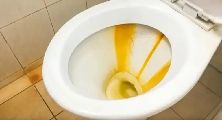 Why Does Urine Sinks to Bottom of The Toilet? Explained